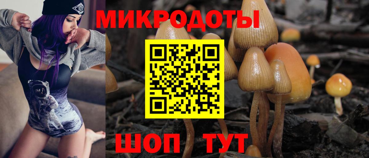Галлюциногенные грибы Cubensis  Вход с VPN  Хабаровск  Псилоцибиновые грибы GOLDEN TEACHER 