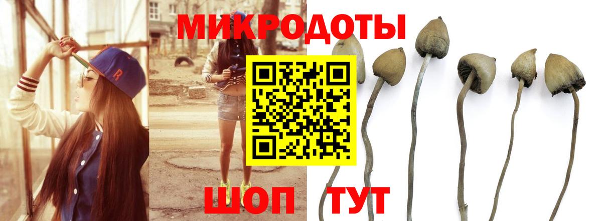 Галлюциногенные грибы Magic Shrooms Хабаровск